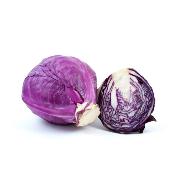 Organic Lentil Sprouts - Image 2